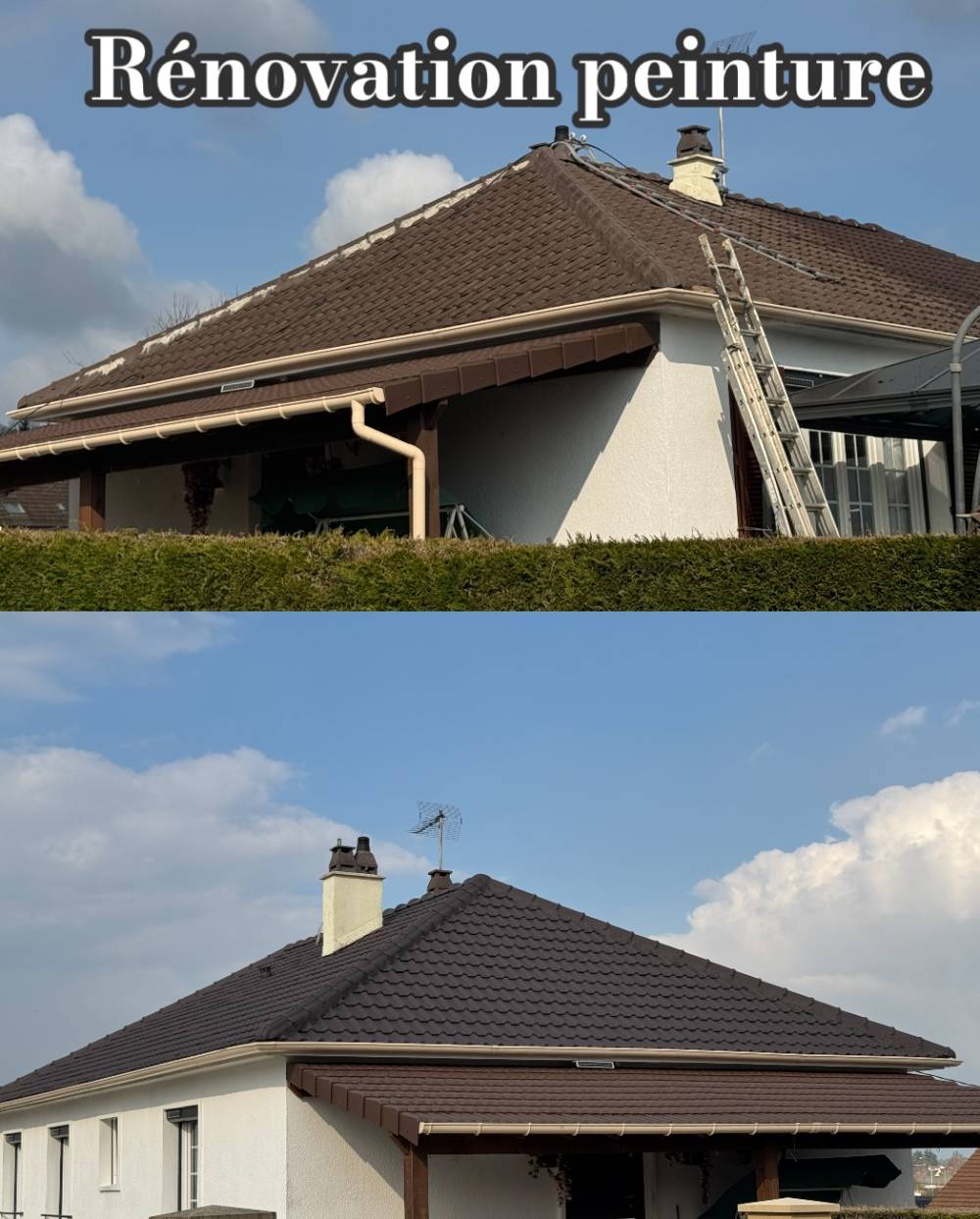 renovation peinture